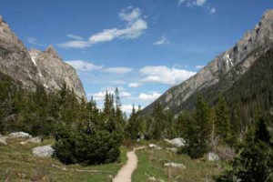 The Cascade Canyon trail east of the forks, photographed June 21, 2008.