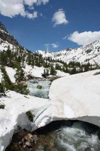 Cascade Creek between the Cascade Canyon forks and Lake Solitude, photographed June 21, 2008.