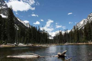 Cascade Creek slows down and widens in Cascade Canyon above Jenny Lake. Photo taken June 14, 2008.